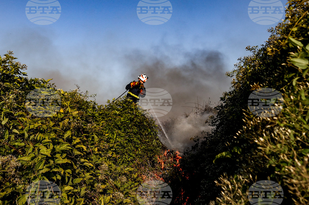 Italy Wildfires