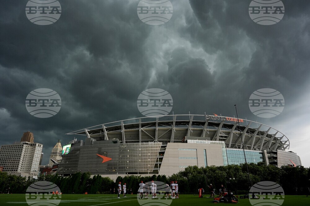 Bengals Football