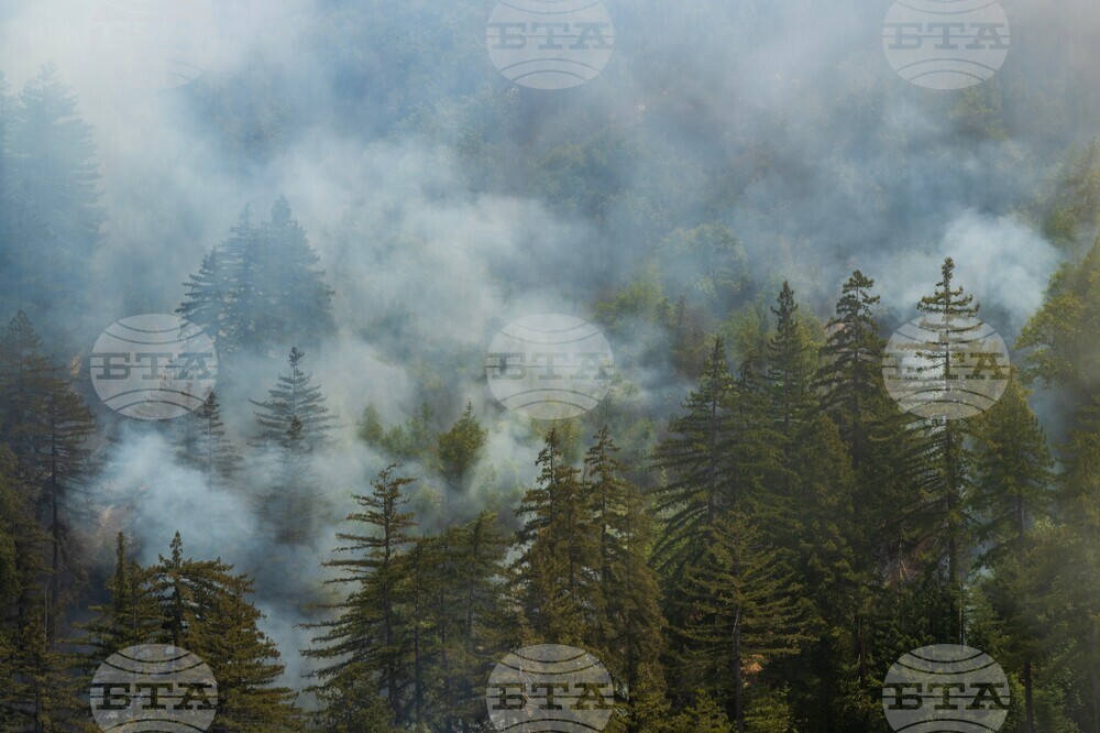 Western Wildfires