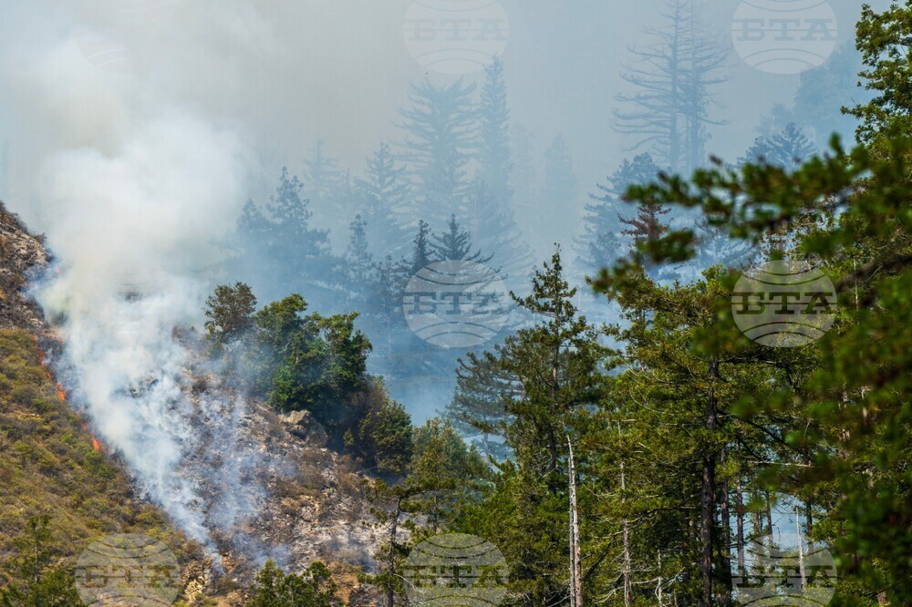 Western Wildfires