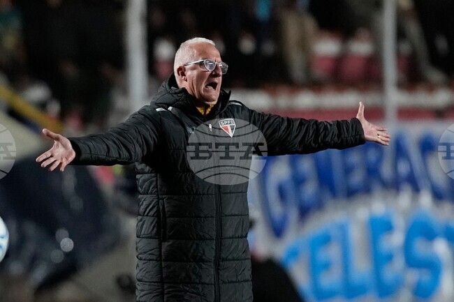 Bolivia Brazil Copa Sudamericana Soccer
