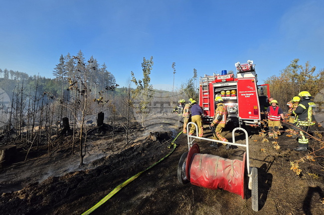 Germany Extreme Weather Wildfires