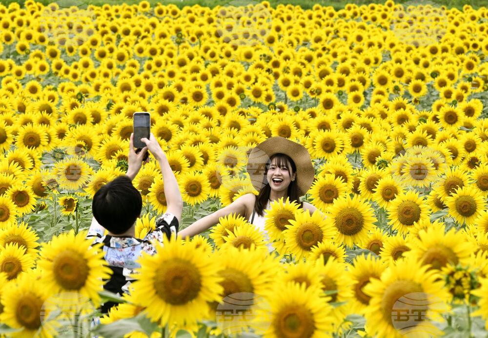 APTOPIX Japan Daily Life