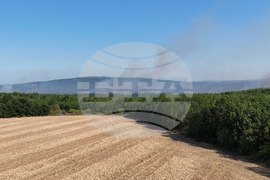 Село Камен връх - пожар