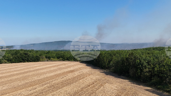 Пожарът край боляровското село Камен връх обхвана 1500 декара