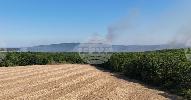  Село Камен връх - пожар