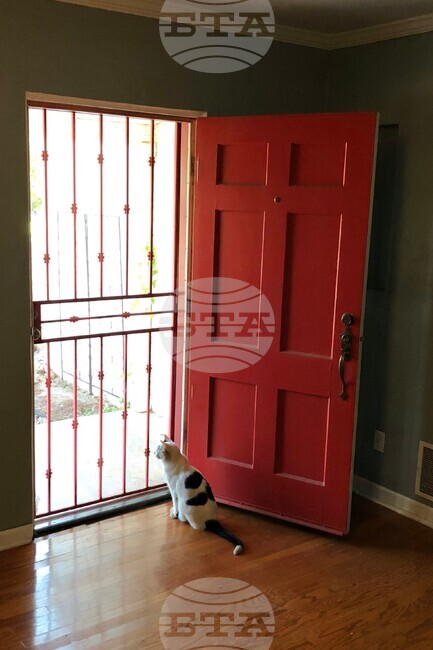 America 250 Objects Screen Door