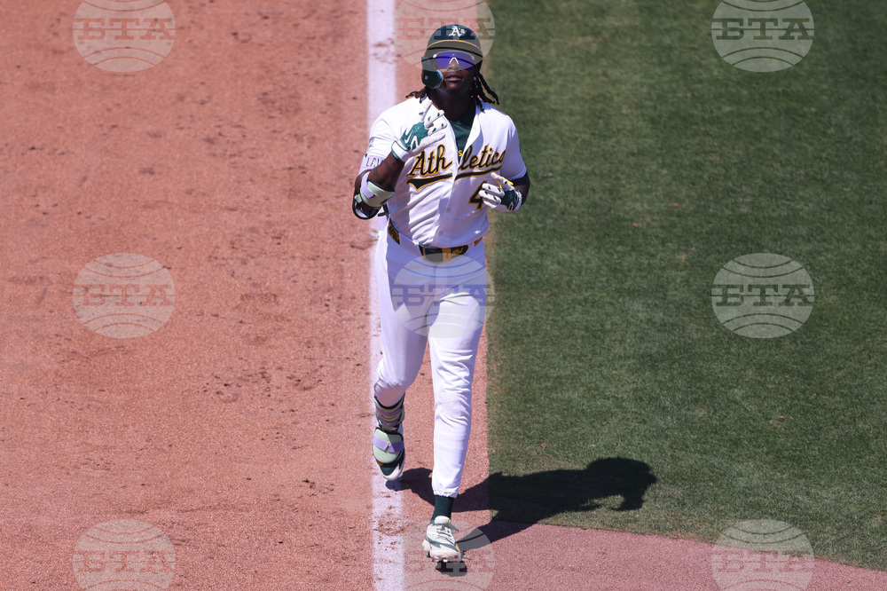Rays Athletics Baseball