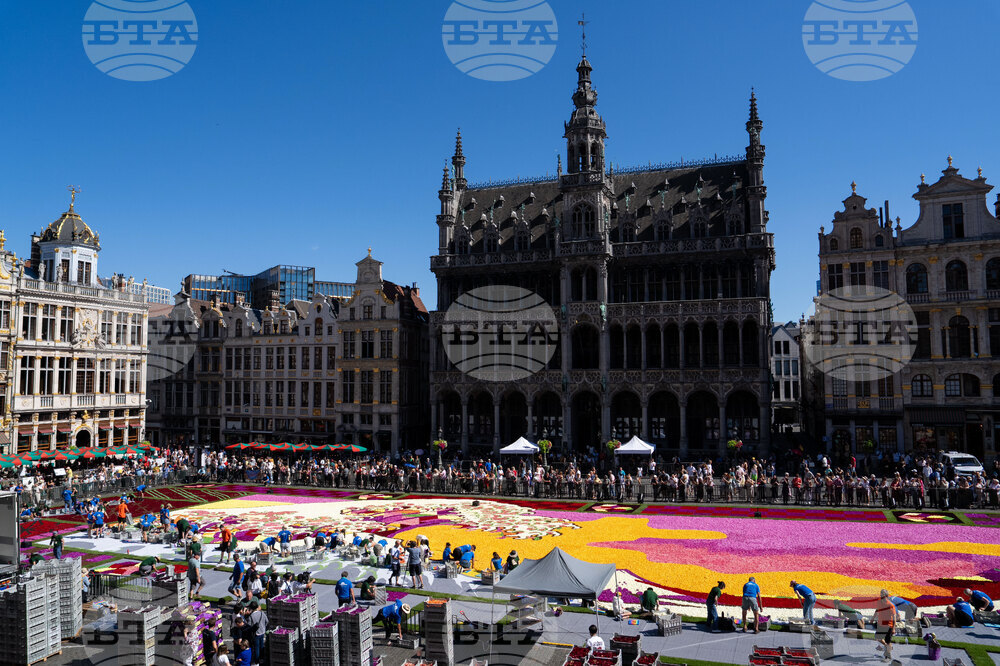 Belgium Flower Carpet