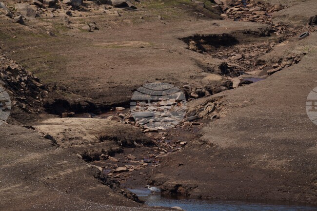 APTOPIX Britain Extreme Weather Drought