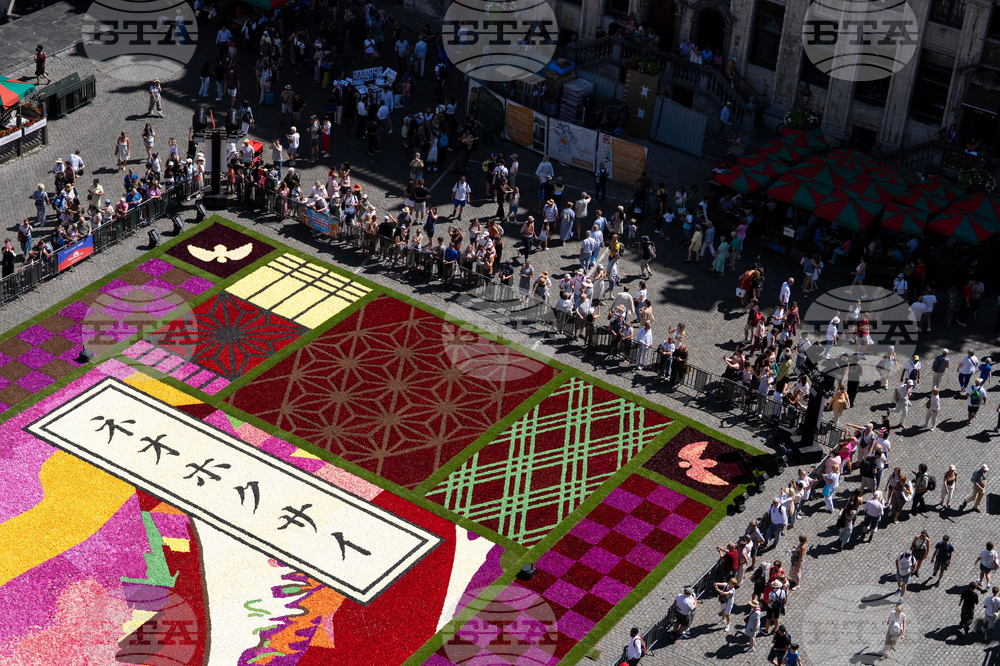 Belgium Flower Carpet