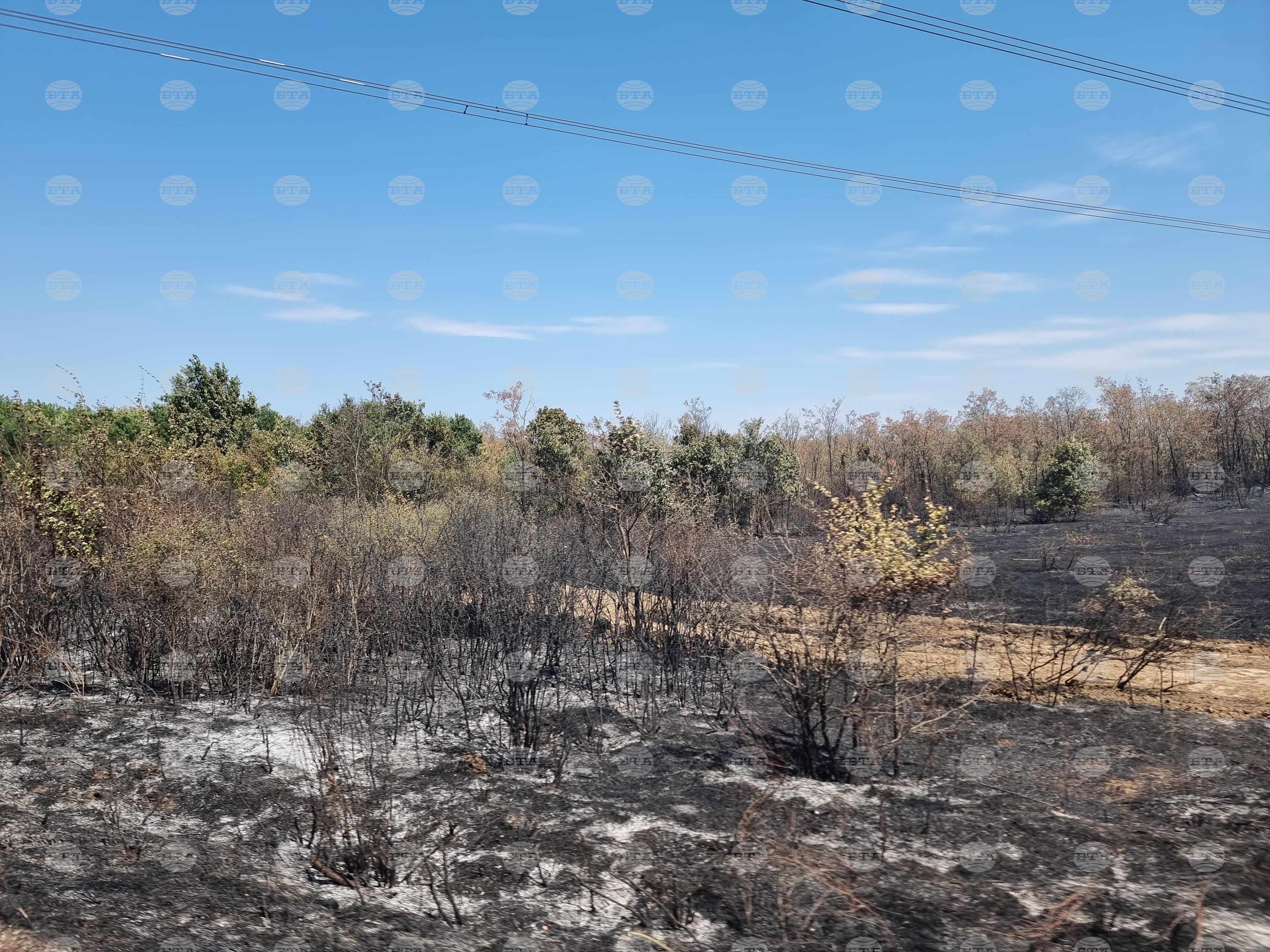 Овладян е пожарът, който обхвана 1600 декара гори край боляровското село Камен връх, но остава под наблюдение