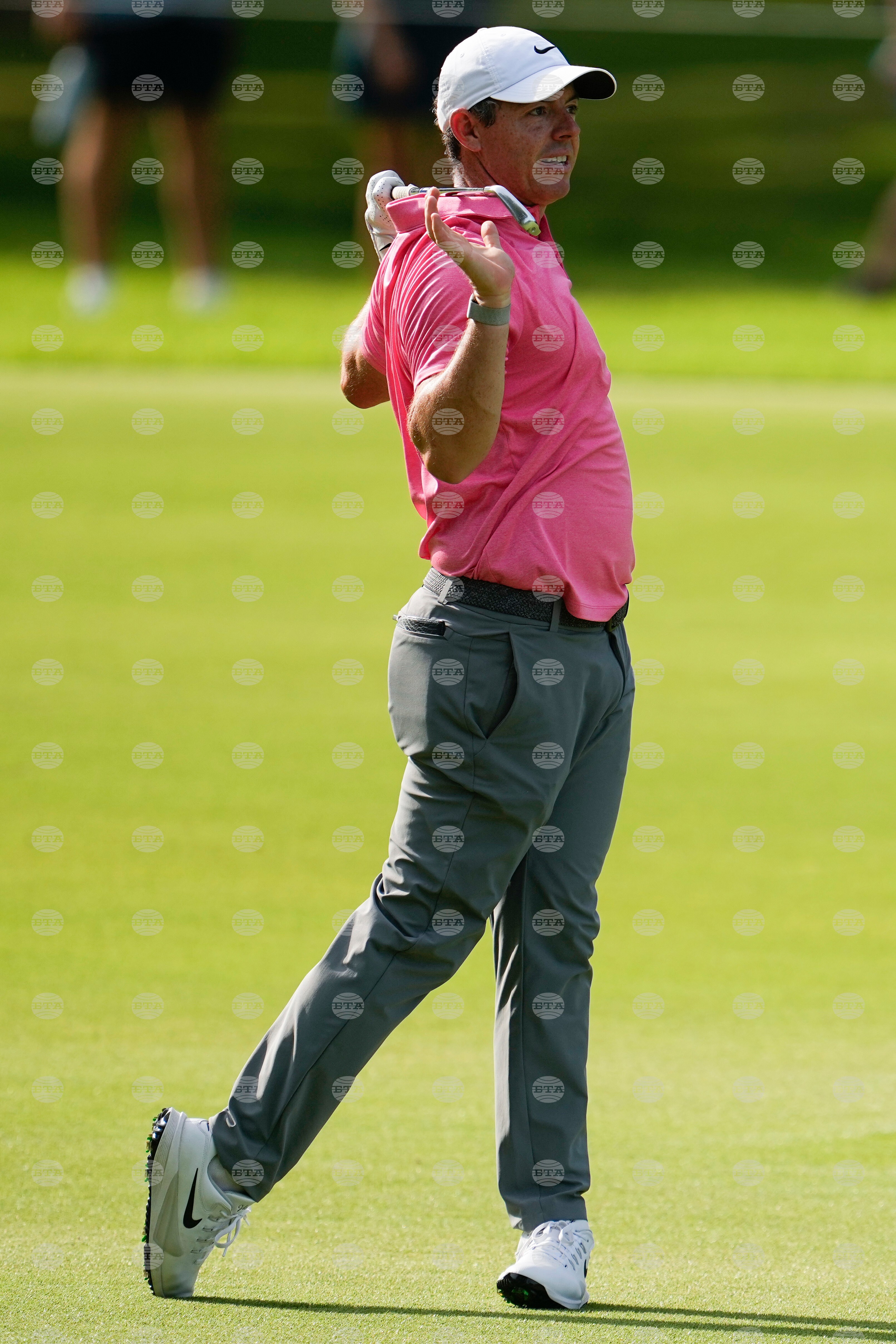 St Jude Championship Golf