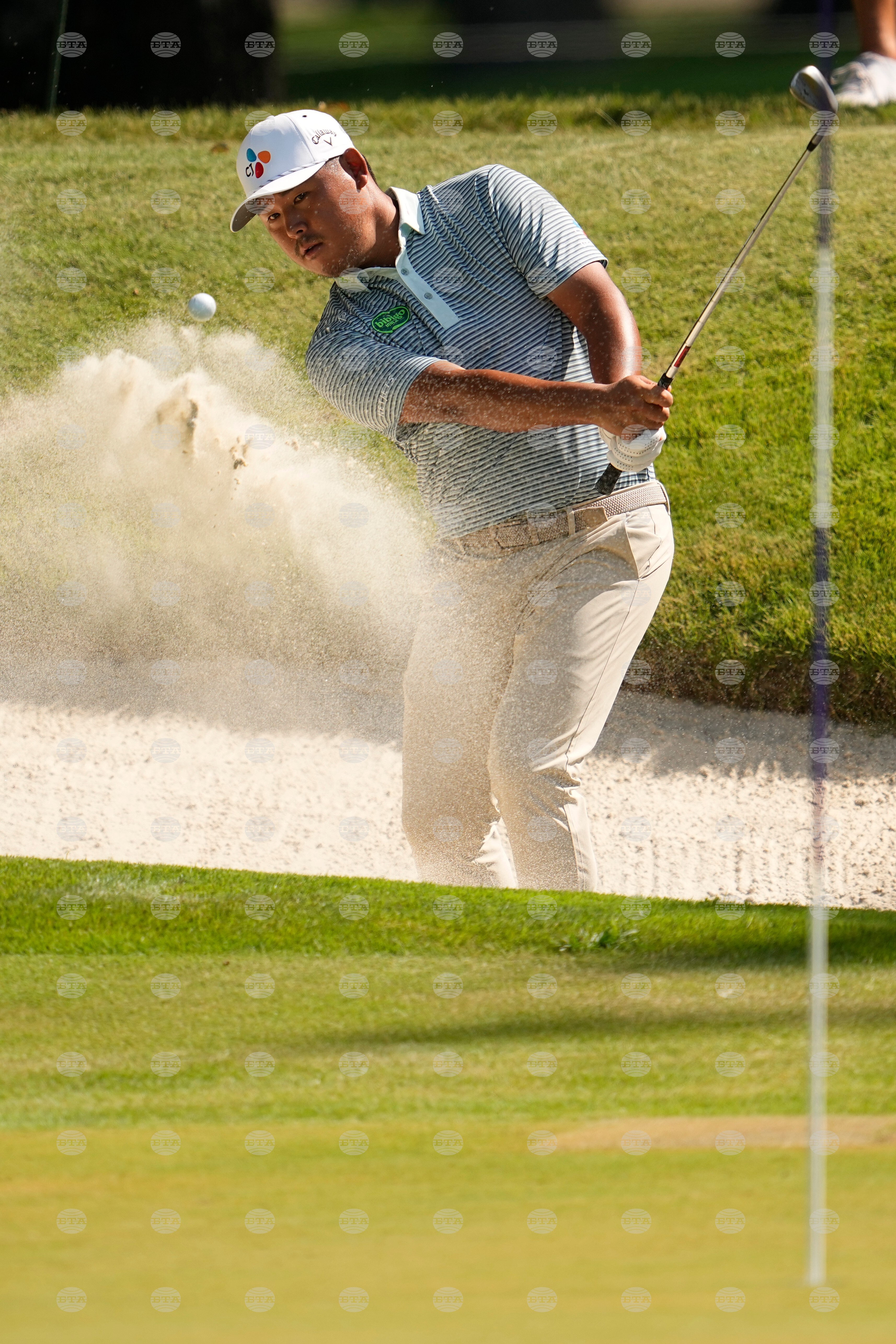St Jude Championship Golf
