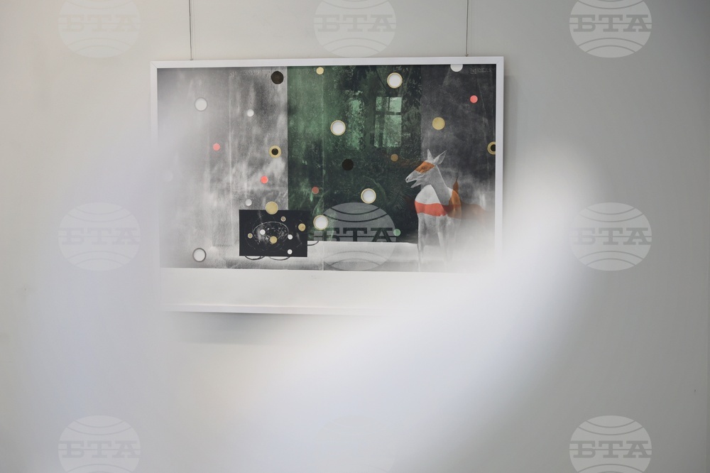 Бургас - Дарина Пеева - изложба