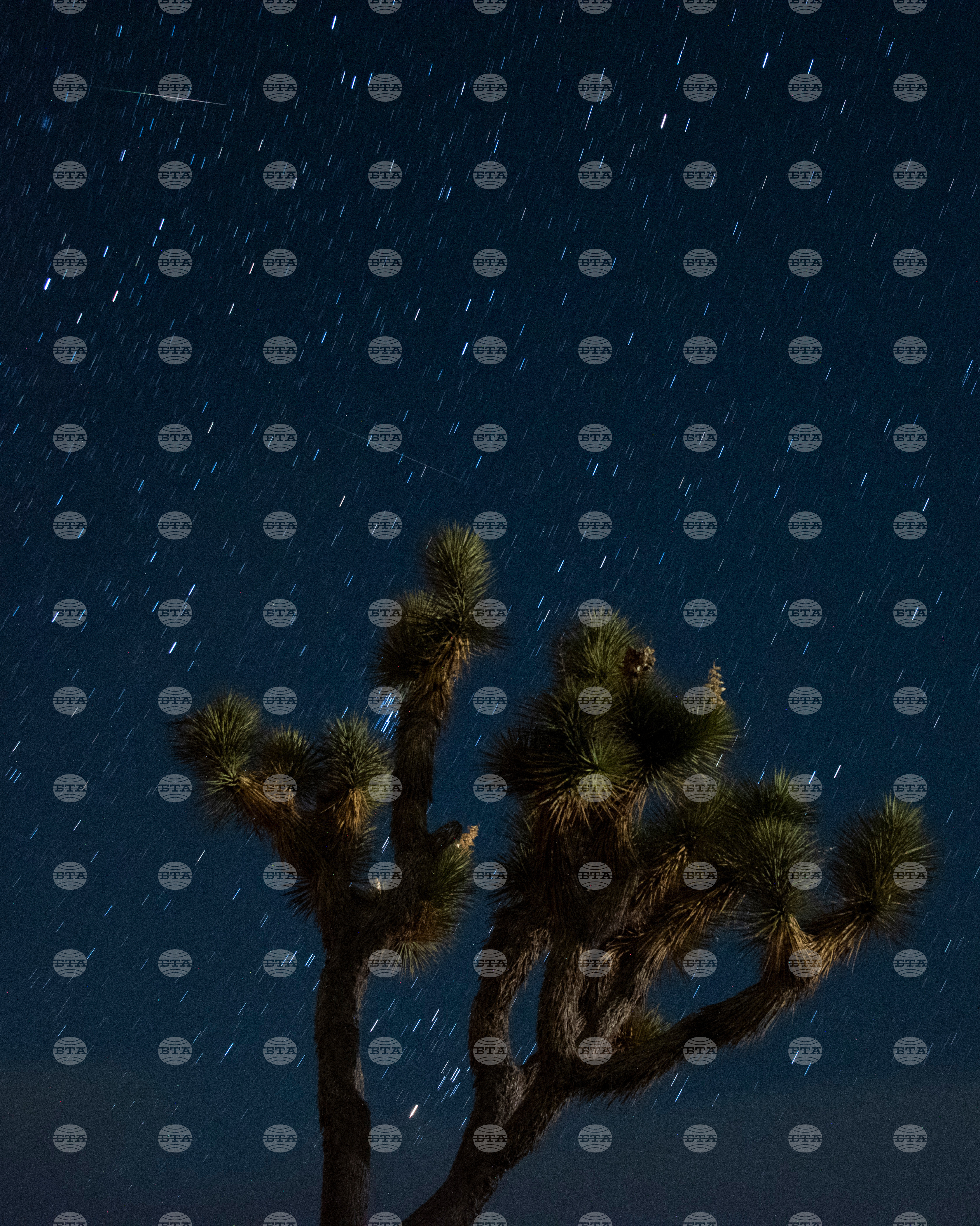 California Meteor Shower