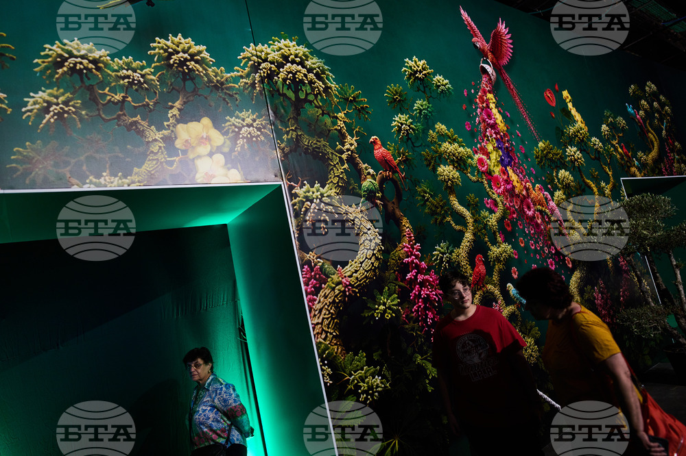 Israel Flowers Exhibition