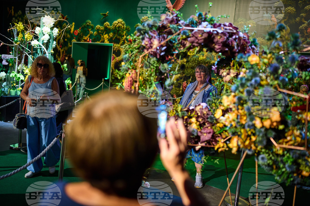 Israel Flowers Exhibition