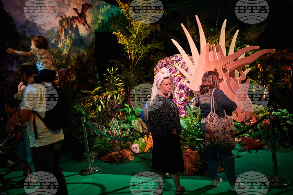 Israel Flowers Exhibition