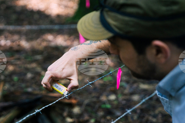 Bear Survey Connecticut