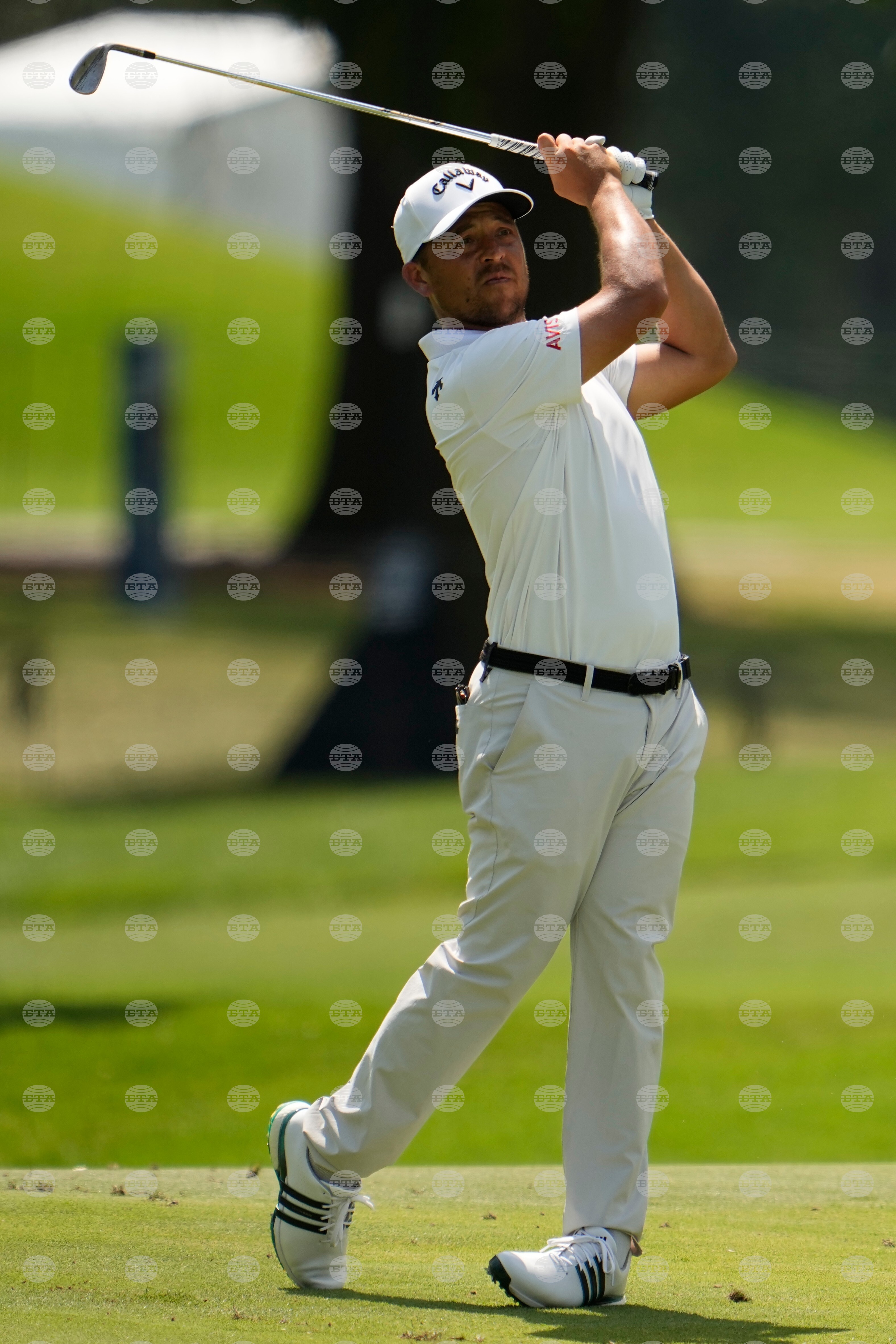 St Jude Championship Golf