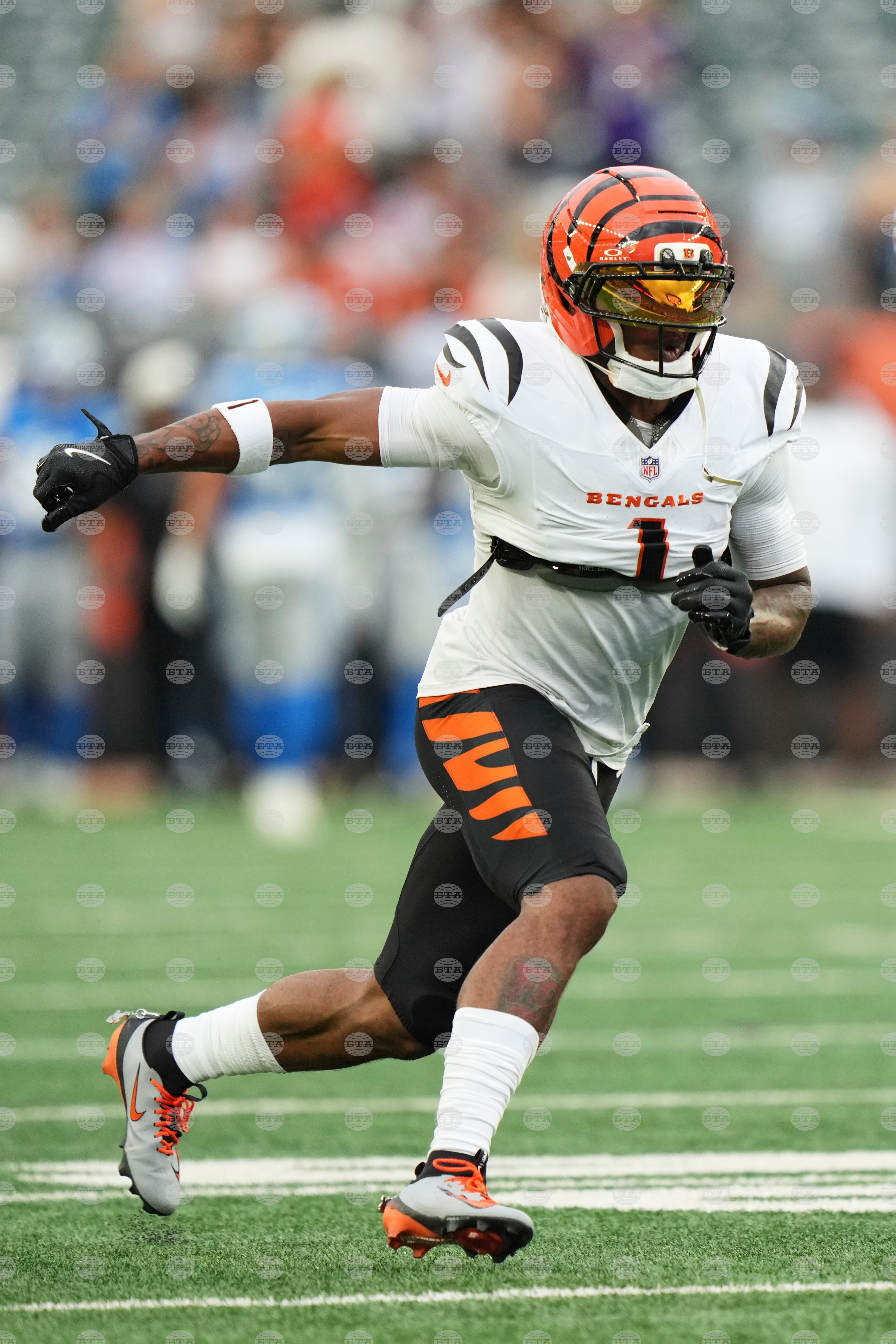 Lions Bengals Football