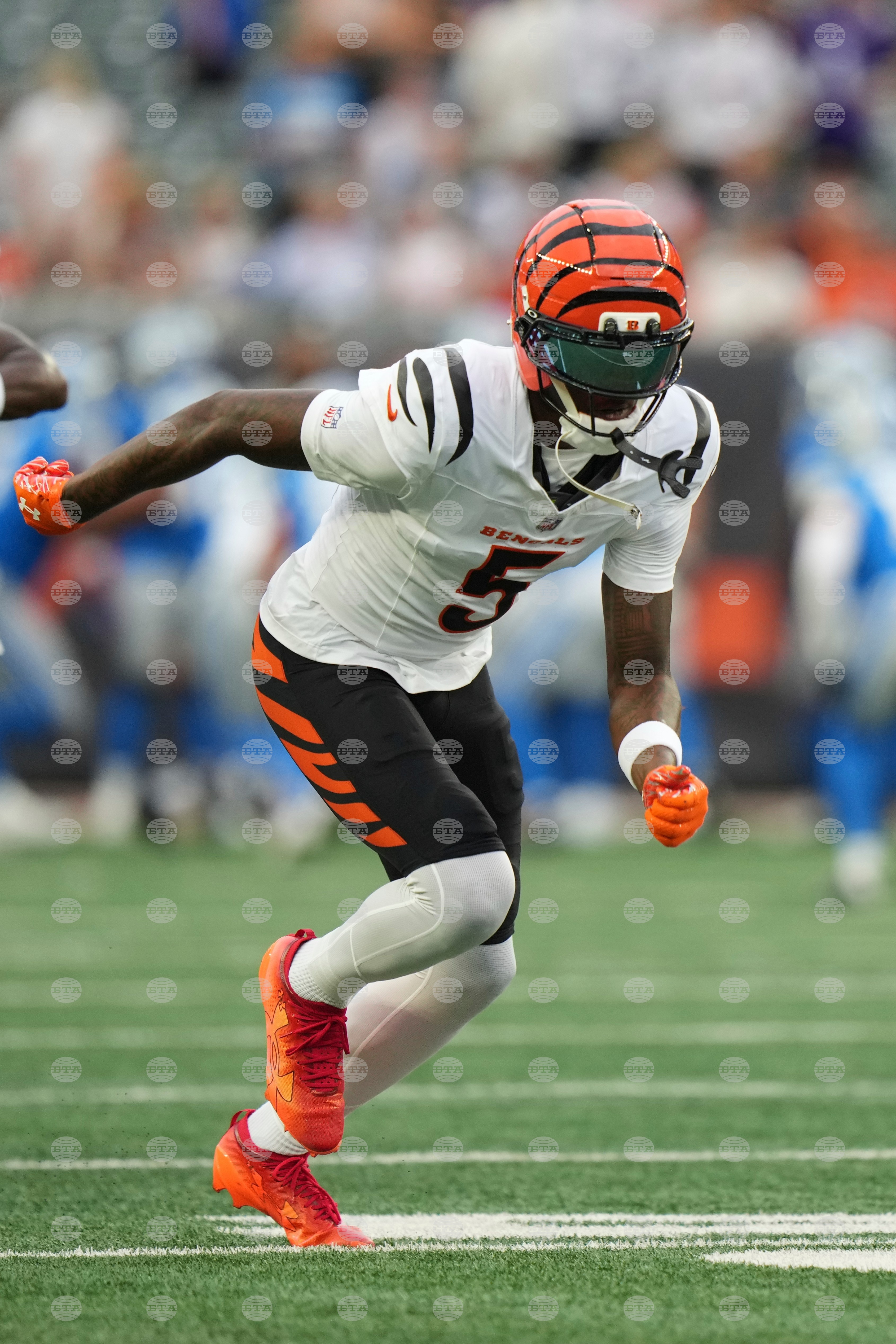 Lions Bengals Football