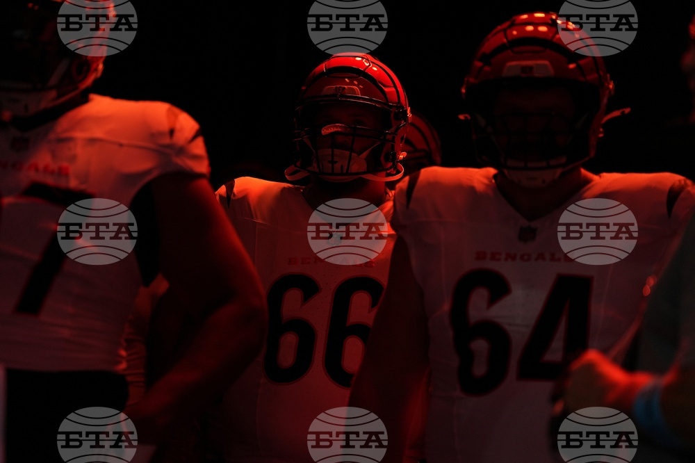 Lions Bengals Football
