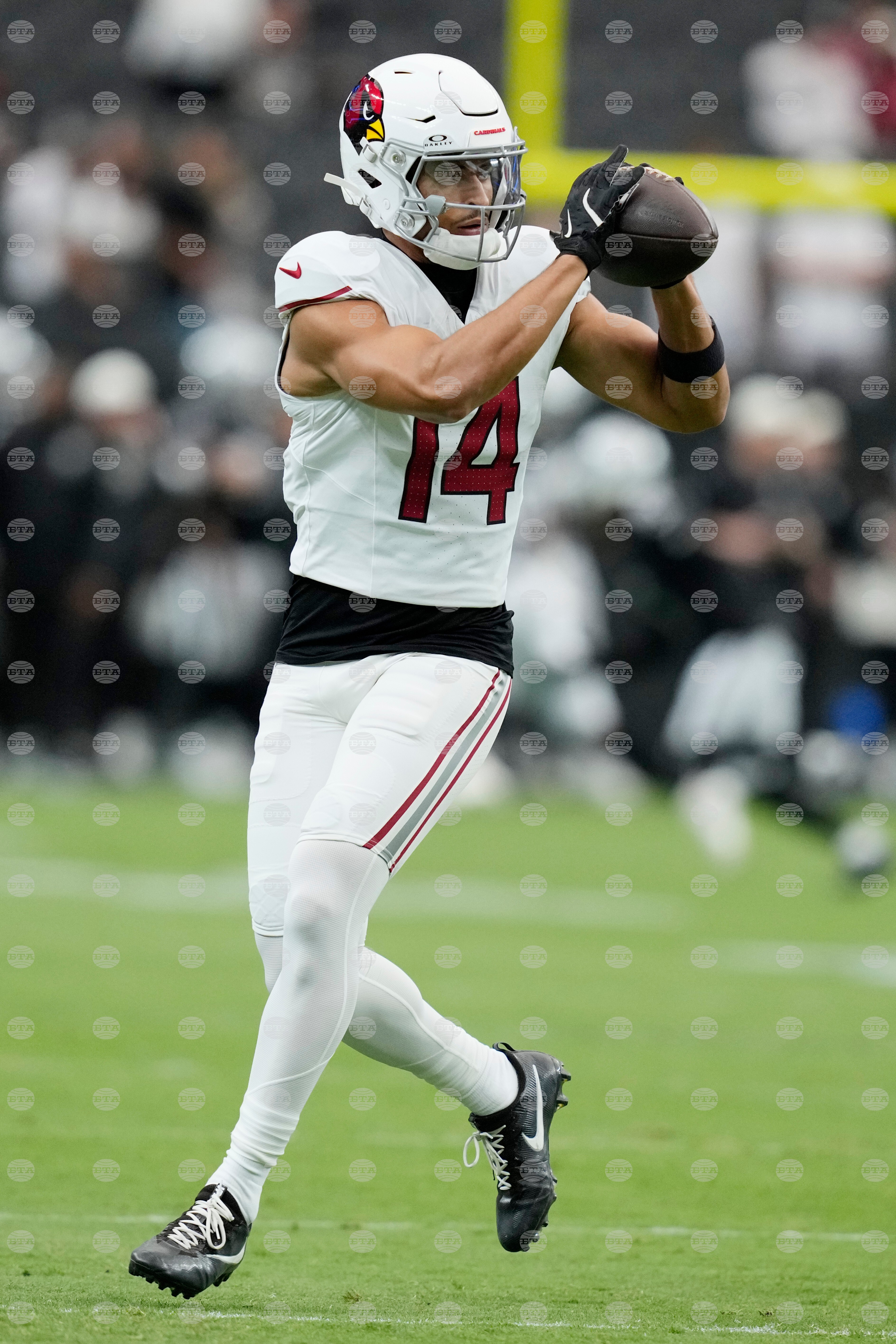 Cardinals Raiders Football