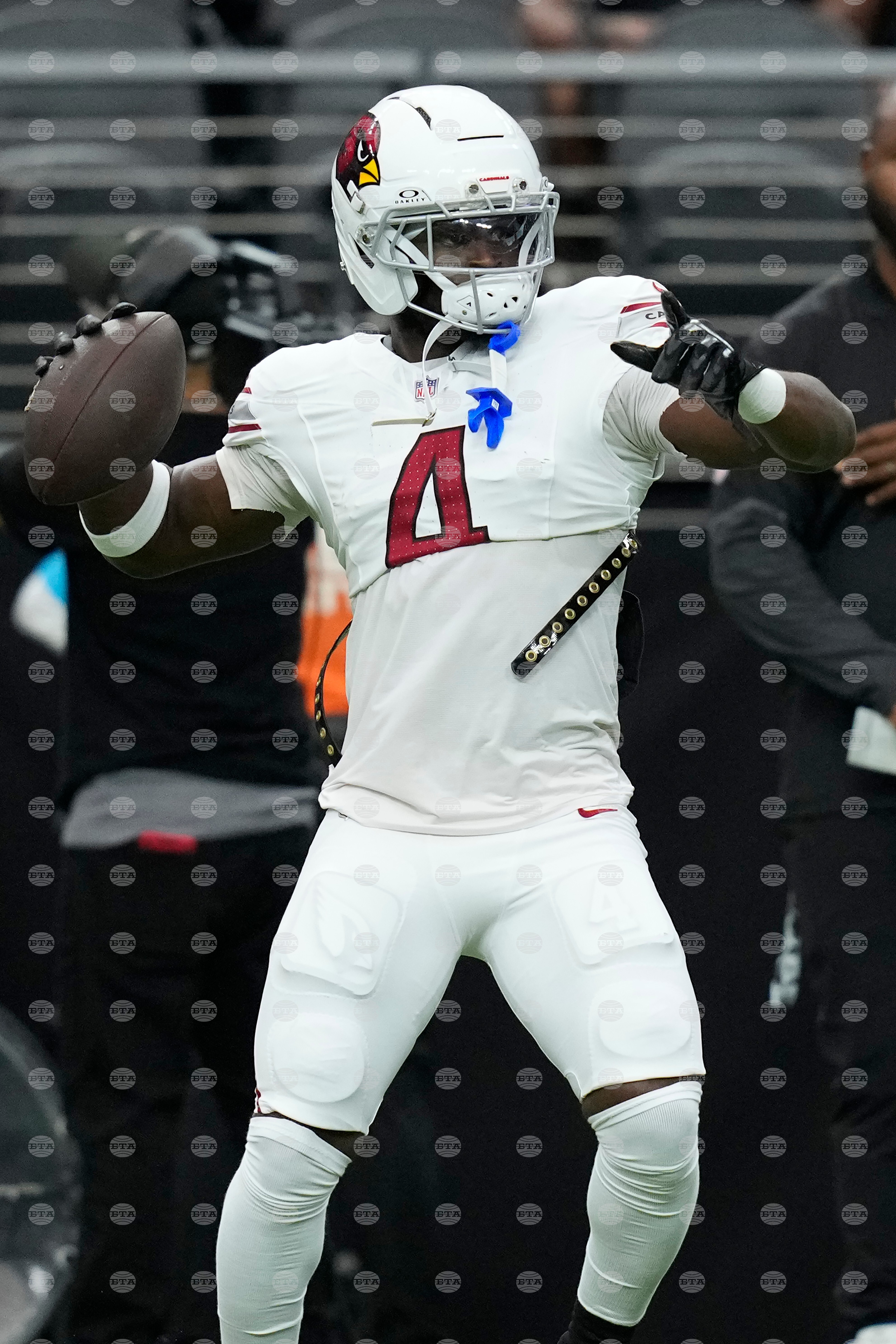 Cardinals Raiders Football