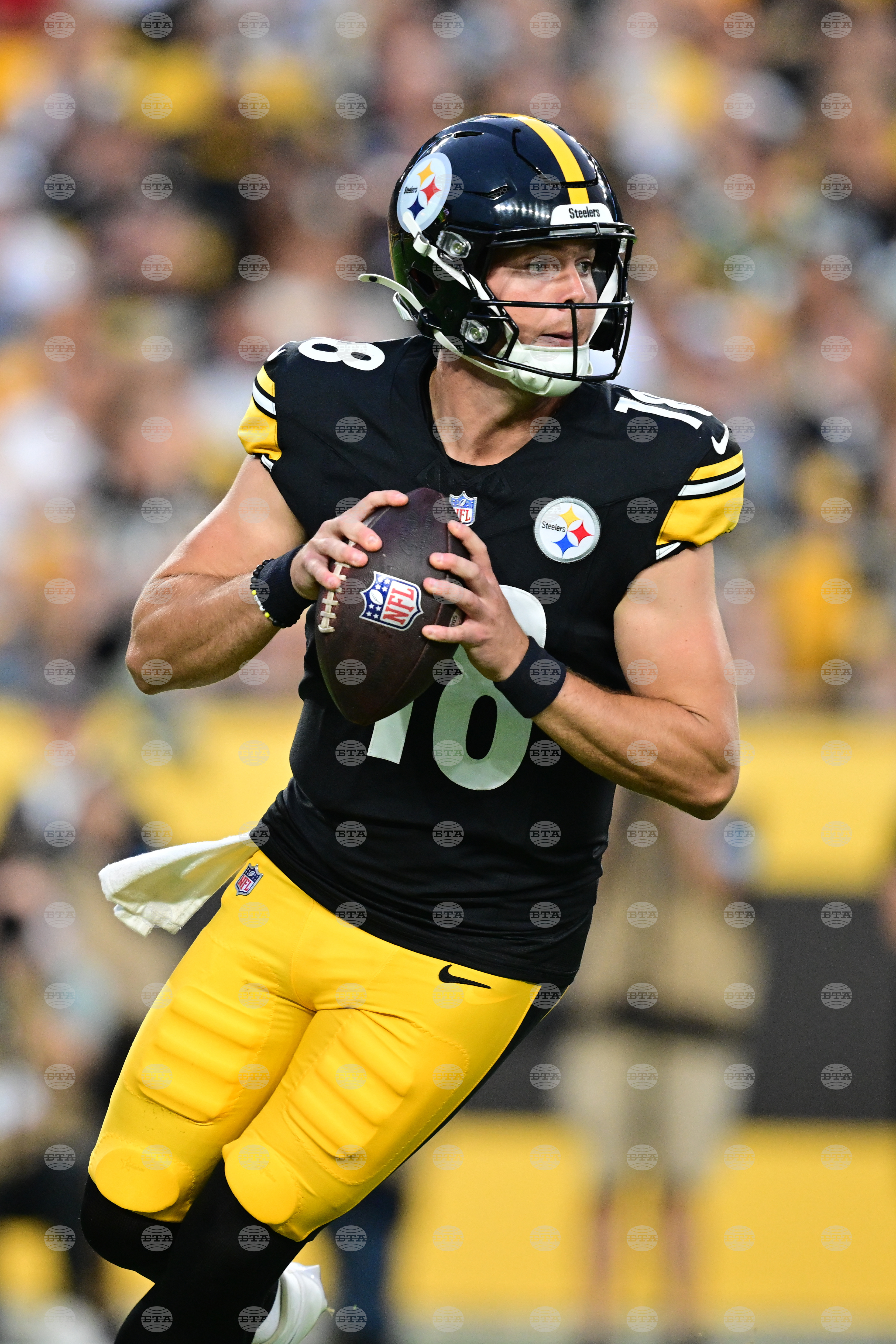 Green Bay Steelers Football