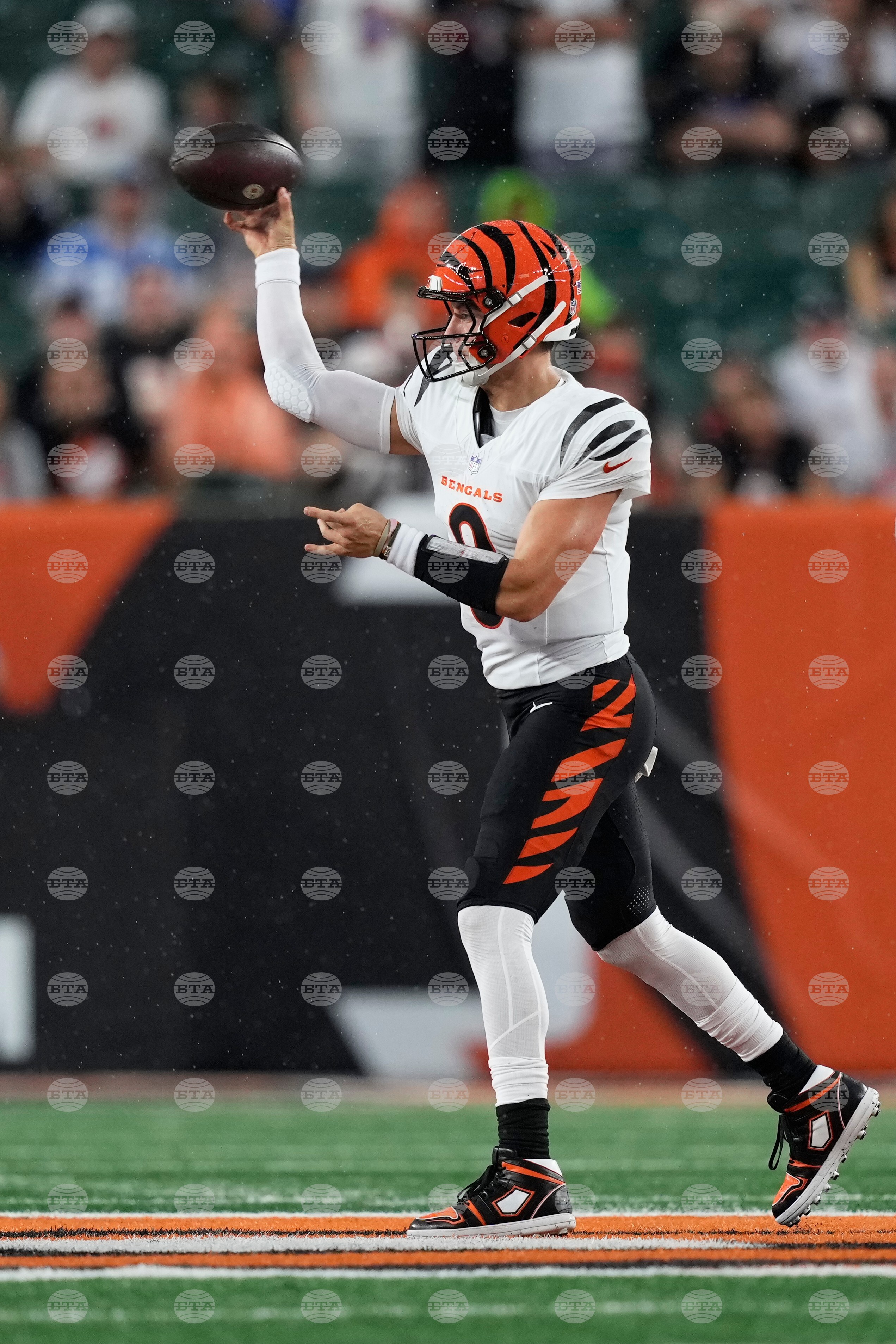 Lions Bengals Football