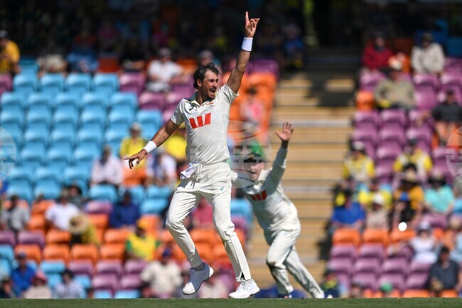 Australia Bangladesh Cricket