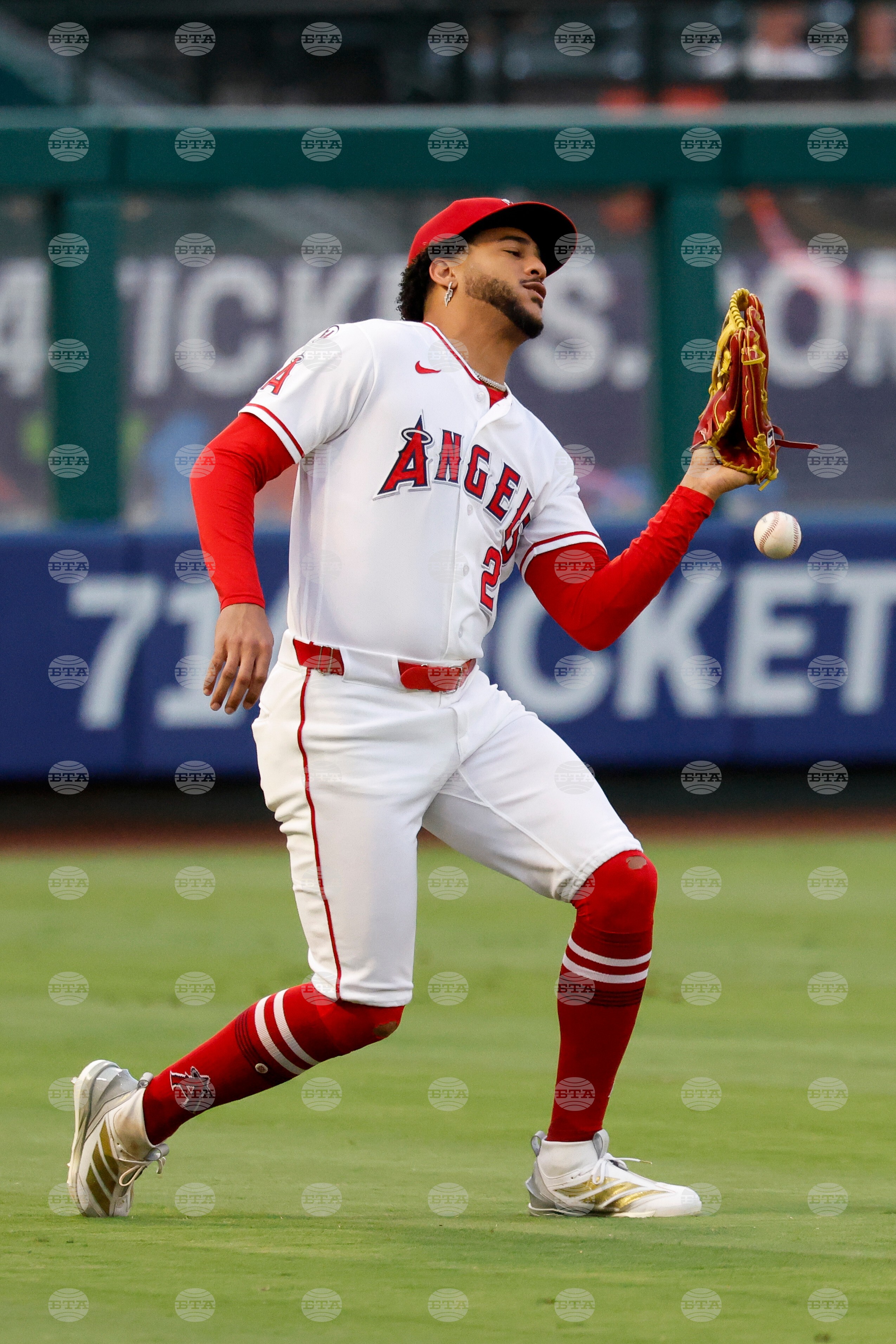 Rangers Angels Baseball