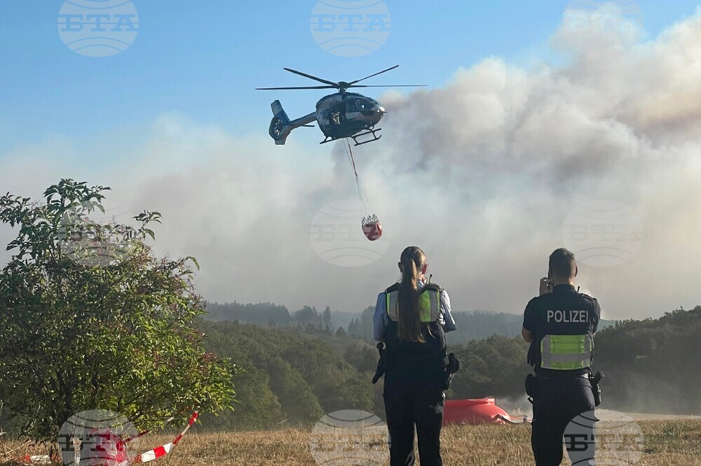 Germany Wildfire