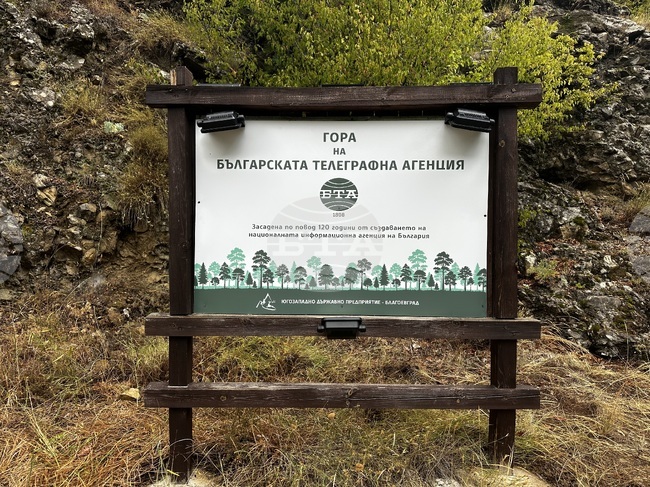 Българската телеграфна агенция поднови и освети табелата на Гората на БТА край Рилския манастир