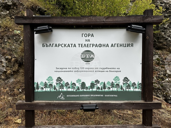 Българската телеграфна агенция поднови и освети табелата на Гората на БТА край Рилския манастир