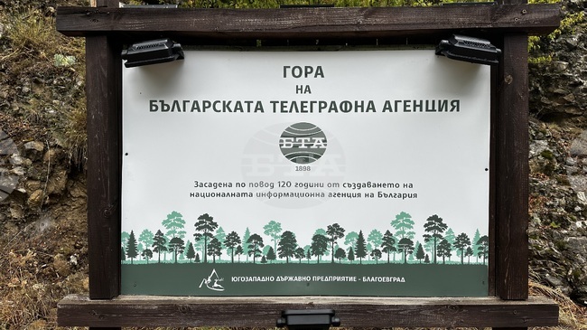 Bulgarian News Agency Restores, Illuminates BTA Forest Sign near Rila Monastery