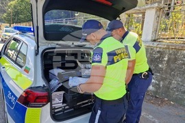 Търговище - специализирана полицейска операция - тежкотоварни автомобили