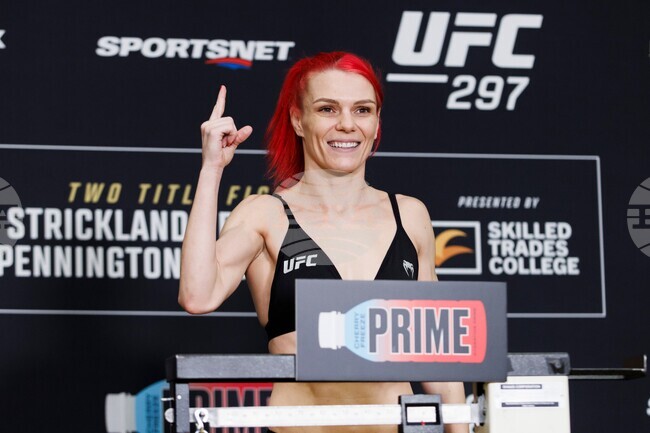 UFC 330 Preview