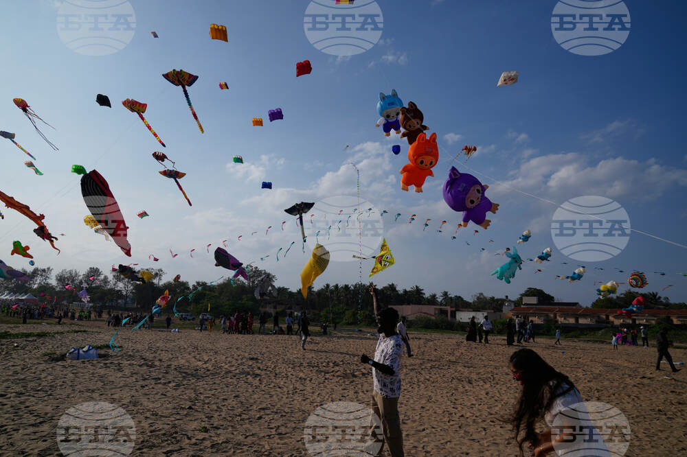 India International Kite Festival