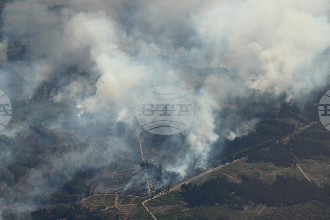 Germany Extreme Weather Wildfire