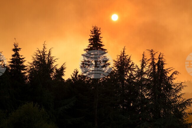 Germany Wildfires