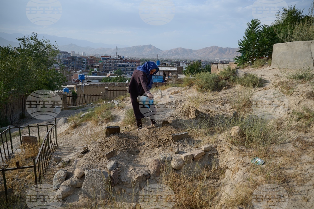 Afghanistan Sima's Survival