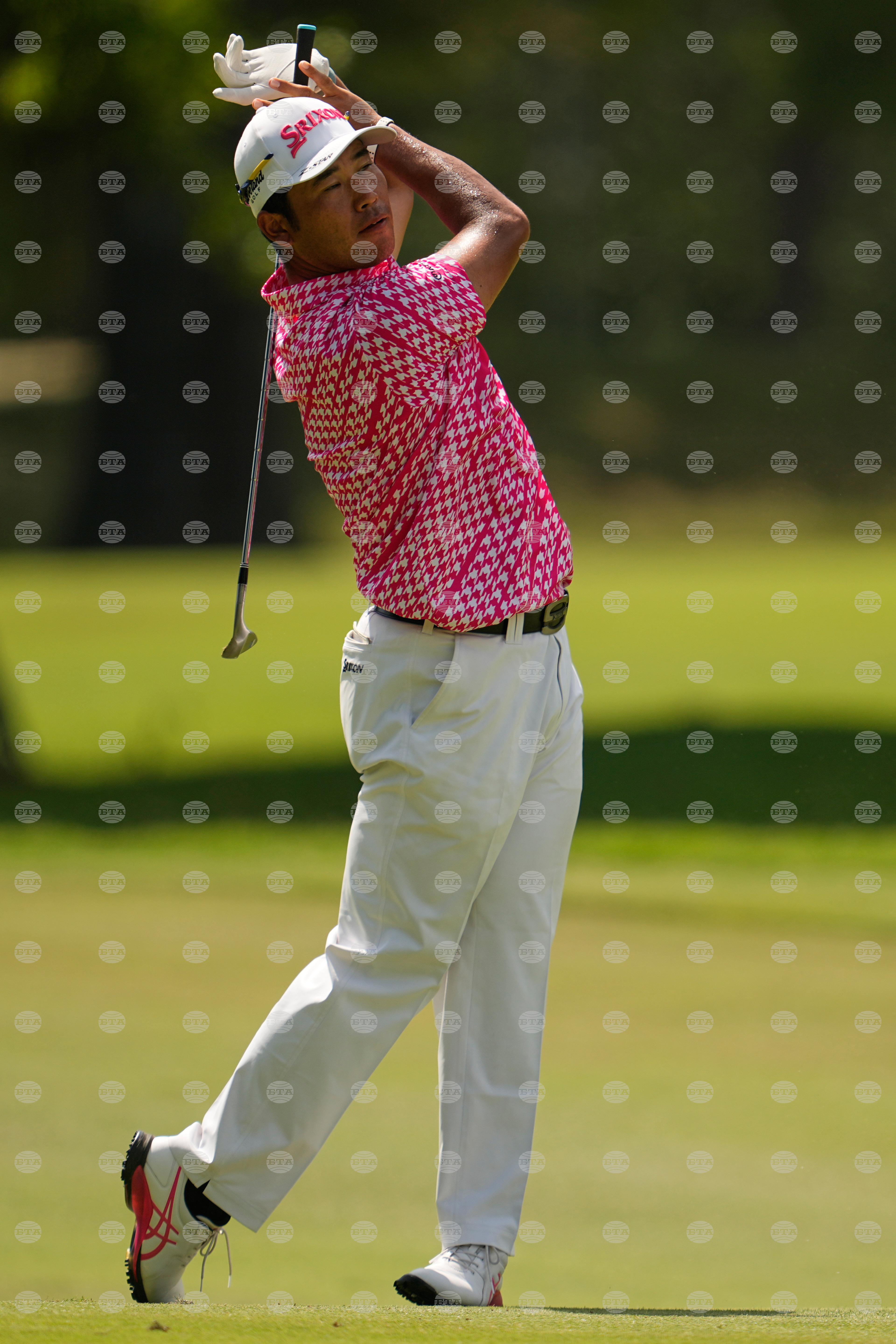 St Jude Championship Golf