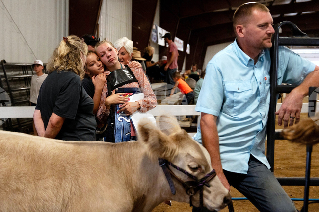 Farm Animals Fair