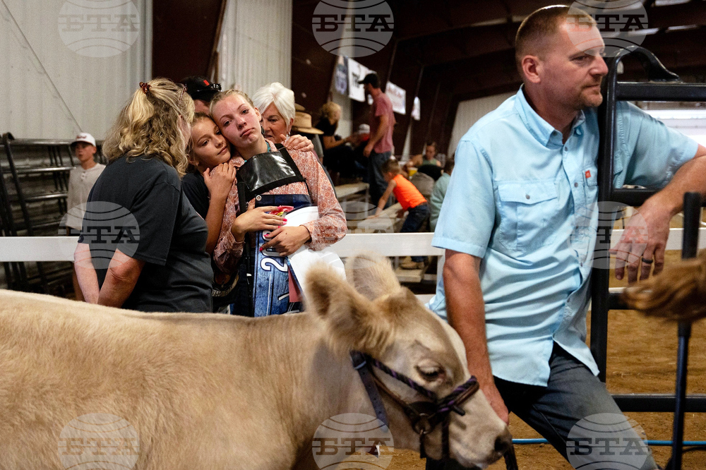 Farm Animals Fair
