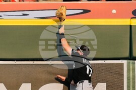 White Sox Tigers Baseball