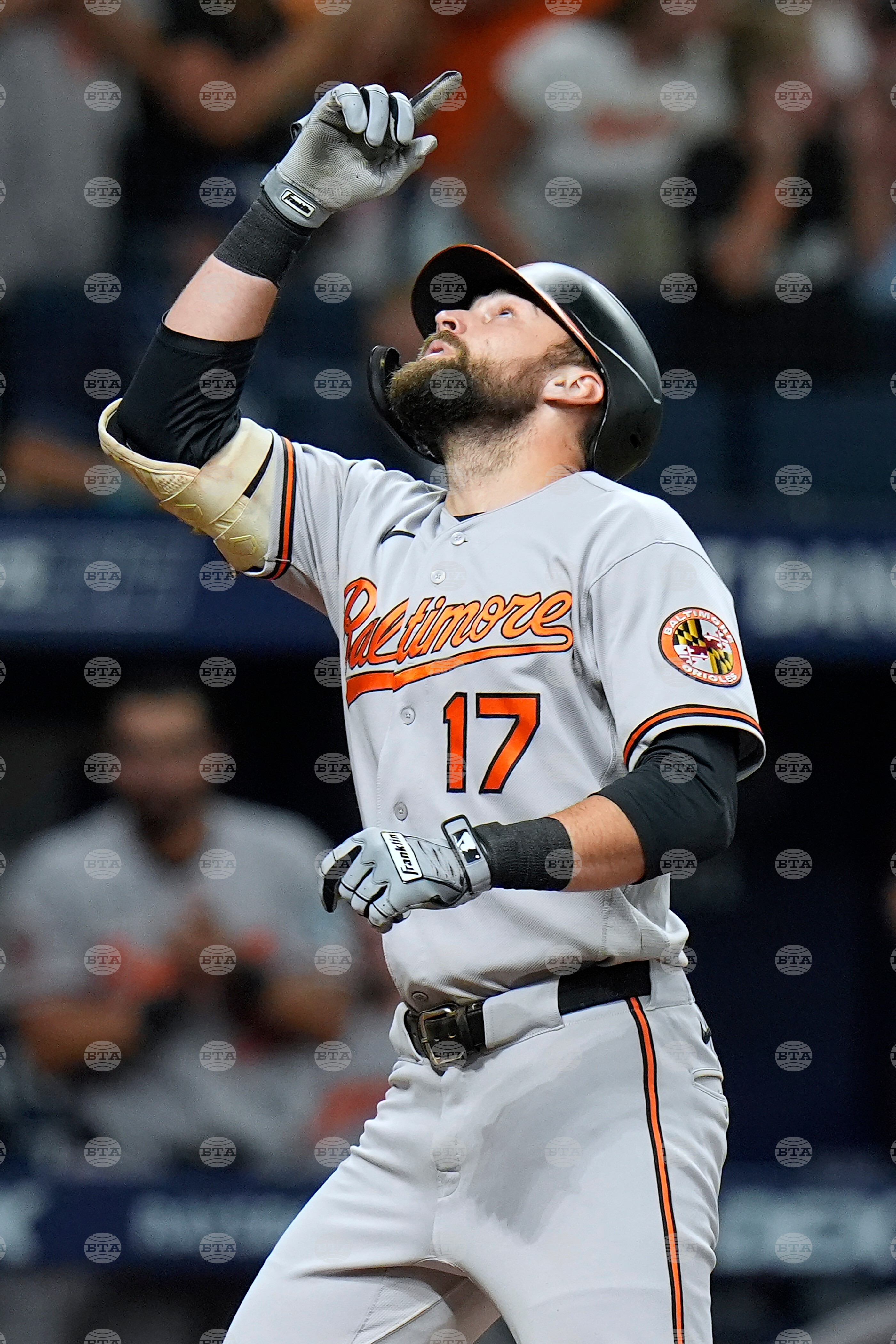 Orioles Rays Baseball