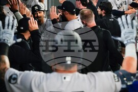 Yankees Blue Jays Baseball